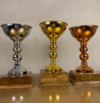 کاپ ایرانی کد D101